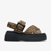 Evamar Wish Leopard Print | Clarks for sale - Women