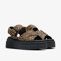 Evamar Wish Leopard Print | Clarks for sale - Women